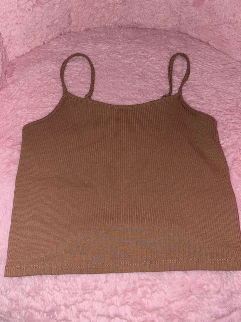American Eagle Outfitters Ribbed Crop Tank - Brown